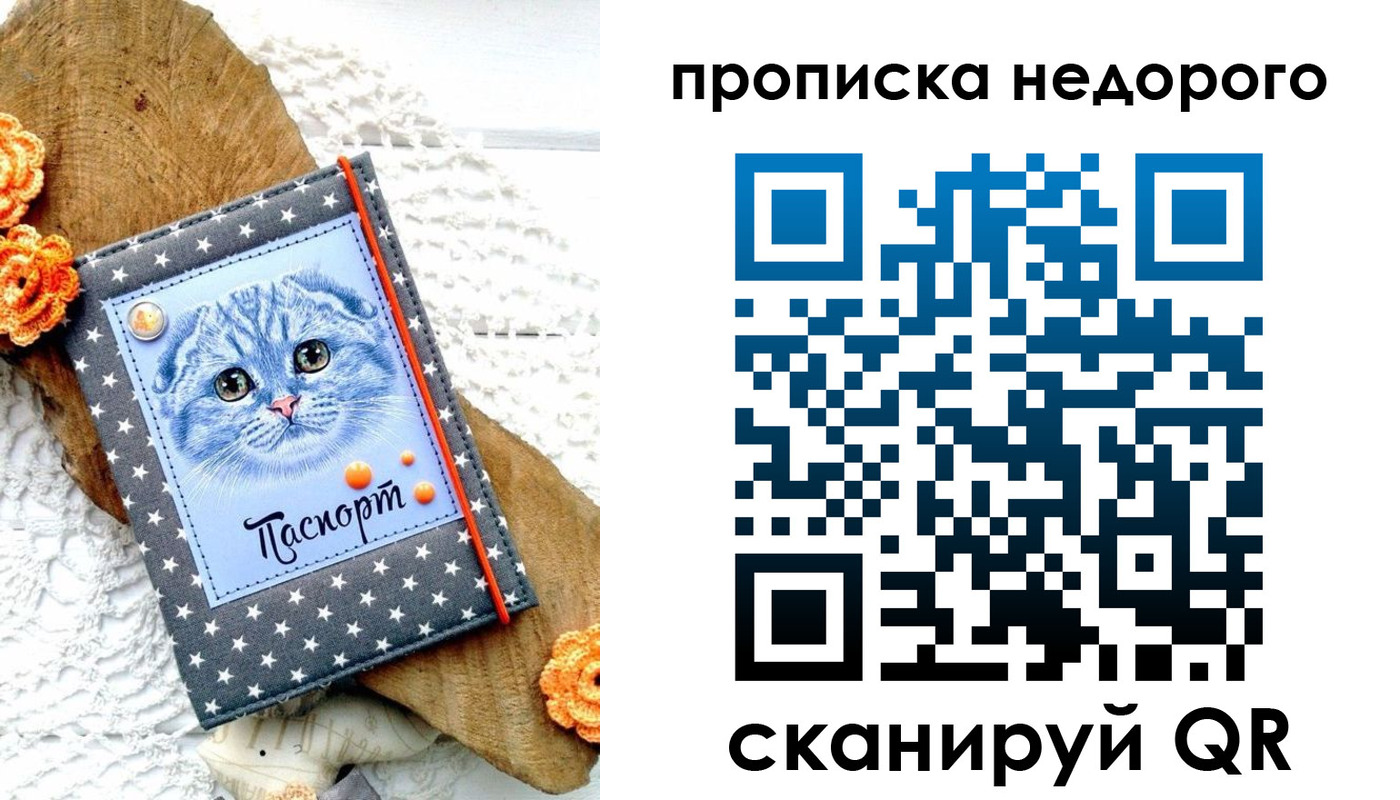 временная регистрация надежно в Вологде